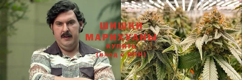 Конопля SATIVA & INDICA  наркошоп  Кондрово 